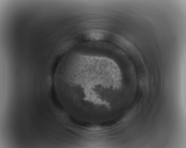 X0000088920551200706151926