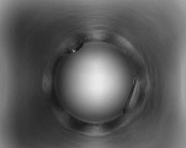 X0000088920552200706151926