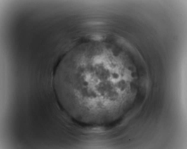 X0000088920553200706151926