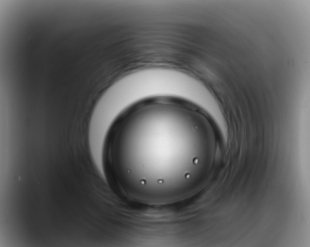 X0000088920556200706151926