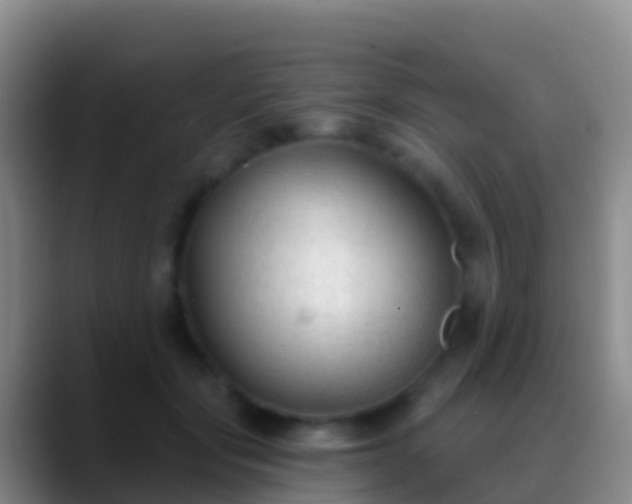 X0000088920557200706151926