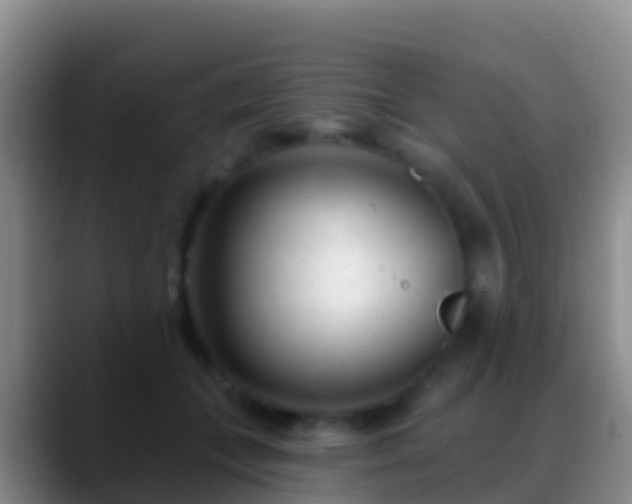 X0000088920559200706151926