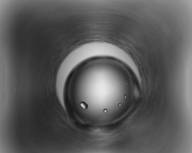 X0000088920564200706151926