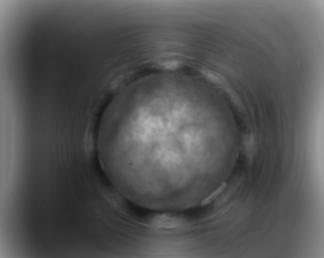 X0000088920568200706151926