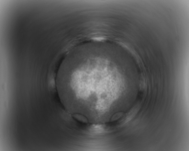 X0000088920573200706151926
