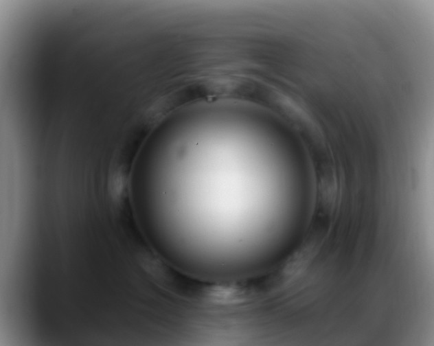 X0000088920574200706151926