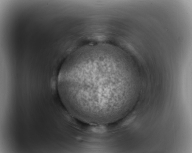 X0000088920576200706151926