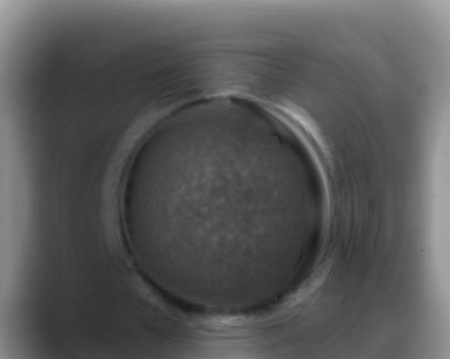 X0000088920577200706151926