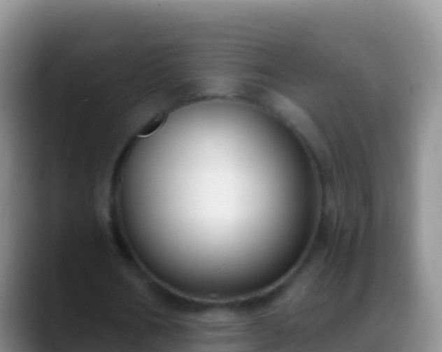 X0000088920578200706151926