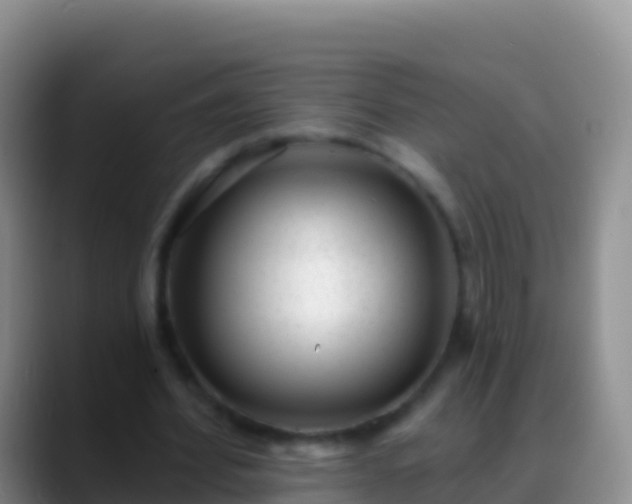 X0000088920580200706151926