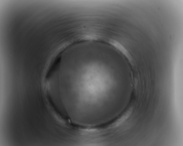 X0000088920581200706151926