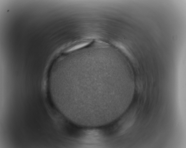X0000088920583200706151926