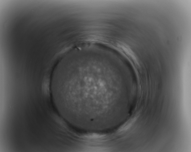 X0000088920585200706151926