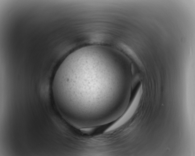 X0000088920588200706151926