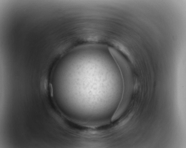 X0000088920589200706151926