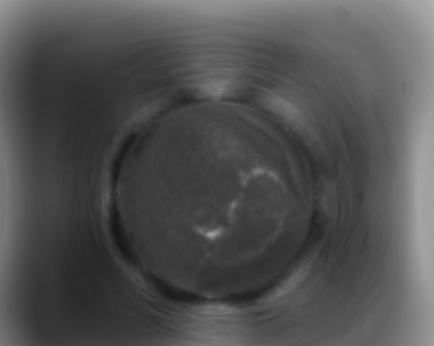 X0000088920590200706151926
