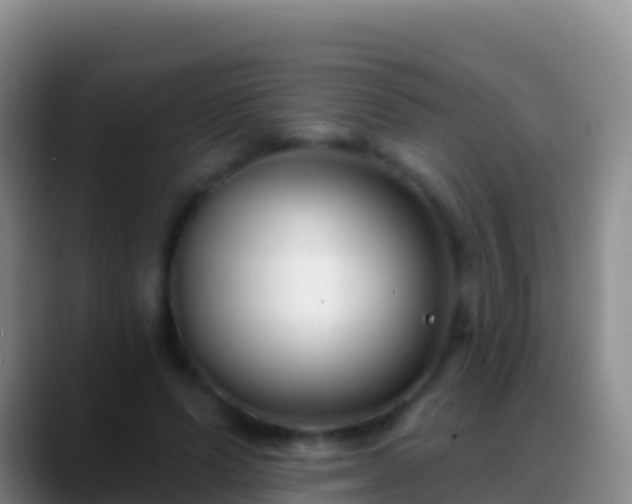 X0000088920591200706151926