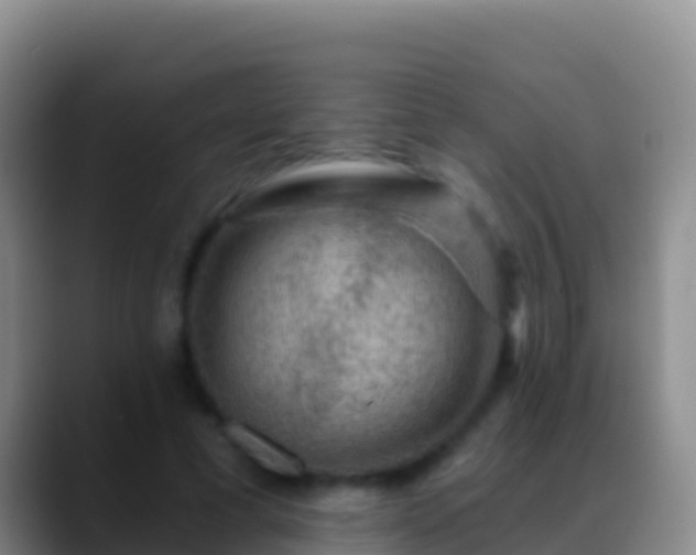 X0000088920593200706151926