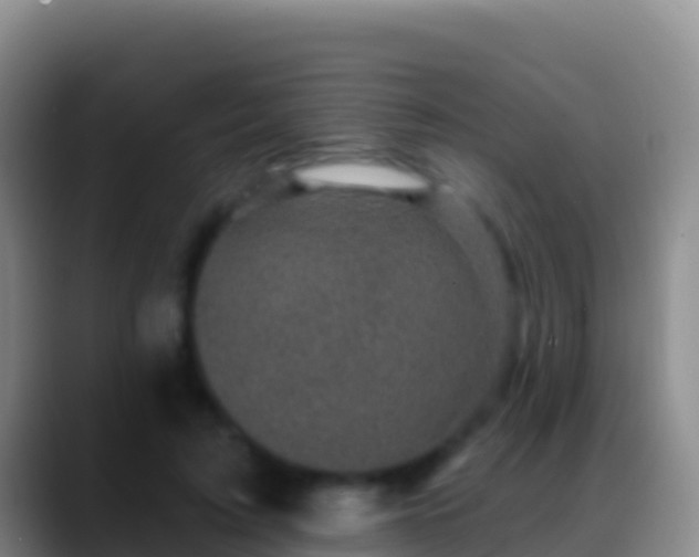 X0000088920595200706151926