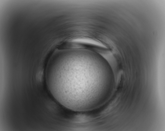 X0000088920596200706151926