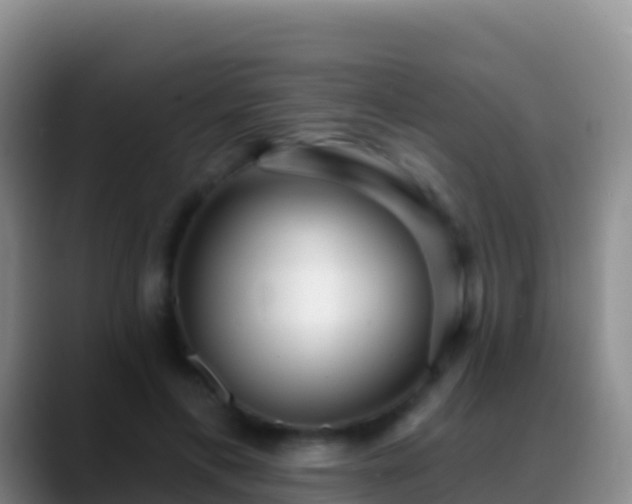X0000088920597200706151926