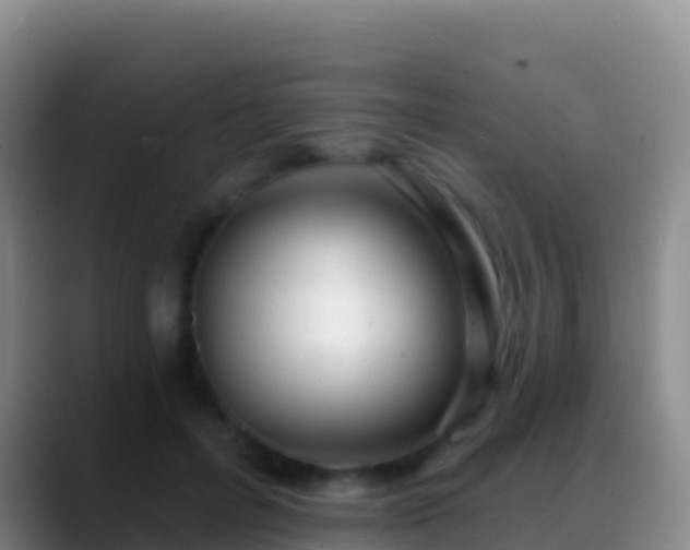 X0000088920600200706151926