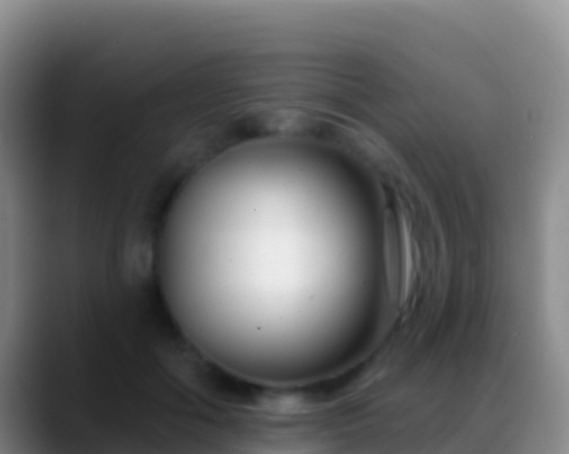 X0000088920602200706151926