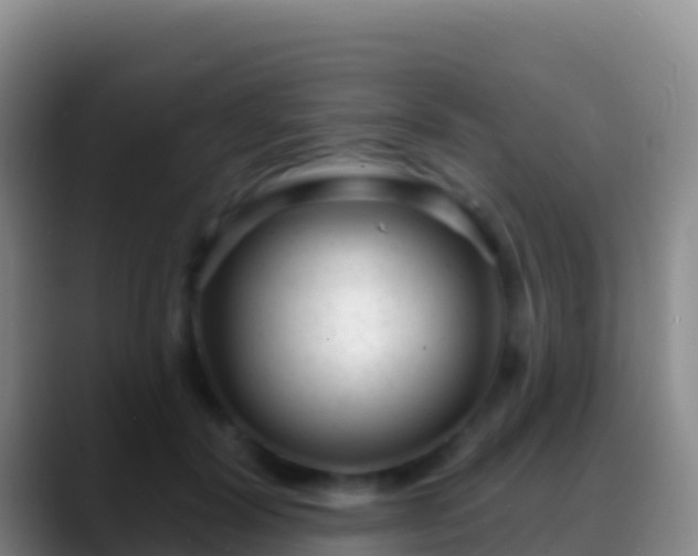 X0000088920604200706151926