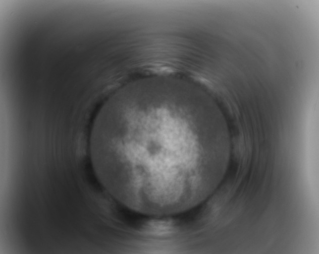 X0000088920606200706151926