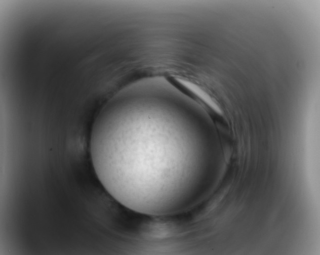 X0000088920608200706151925