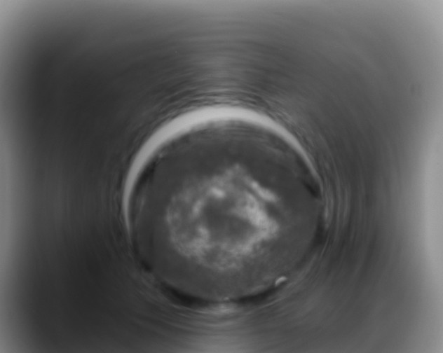 X0000088920609200706151925