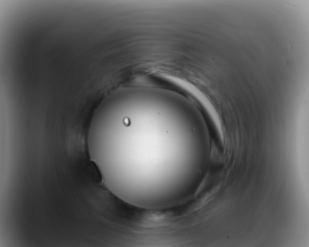 X0000088920613200706151925
