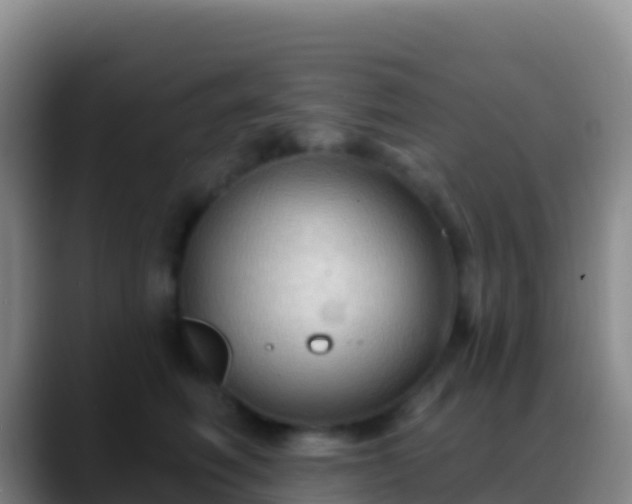 X0000088920614200706151925