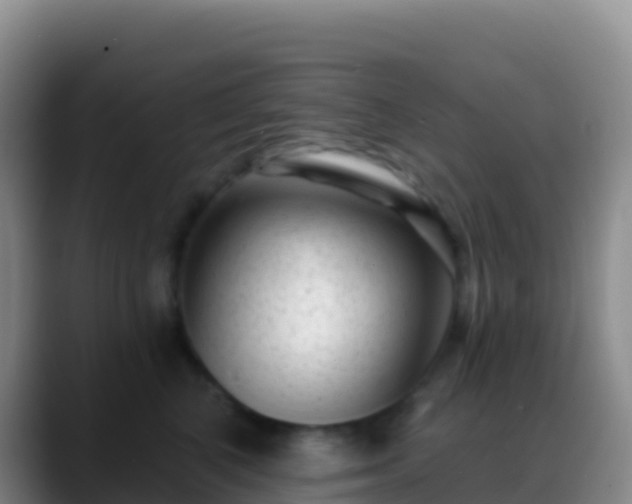 X0000088920616200706151925