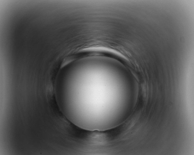 X0000088920617200706151925