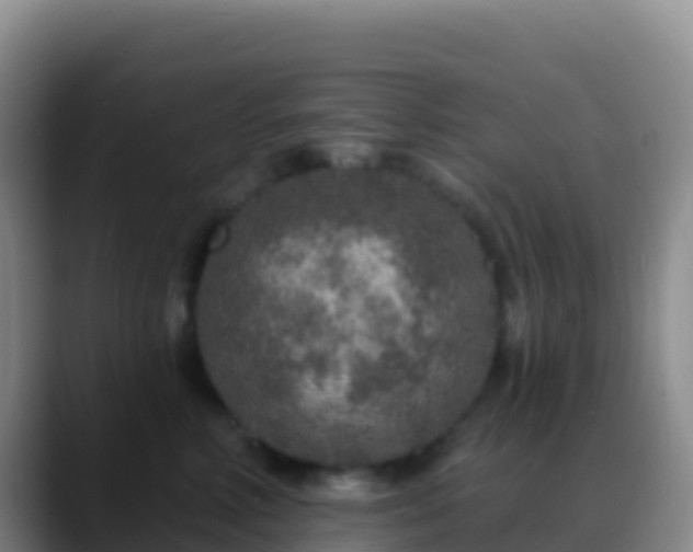 X0000088920618200706151925