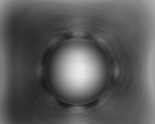 X0000088920619200706151925