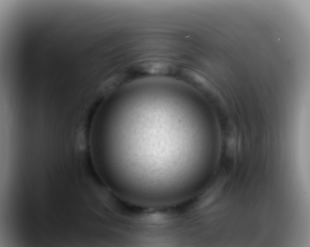 X0000088920620200706151925