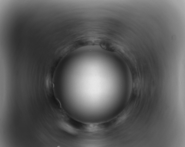 X0000088920623200706151925