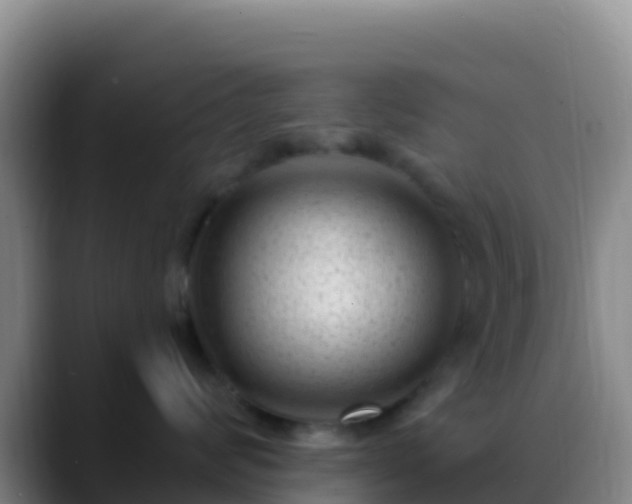 X0000088920624200706151925