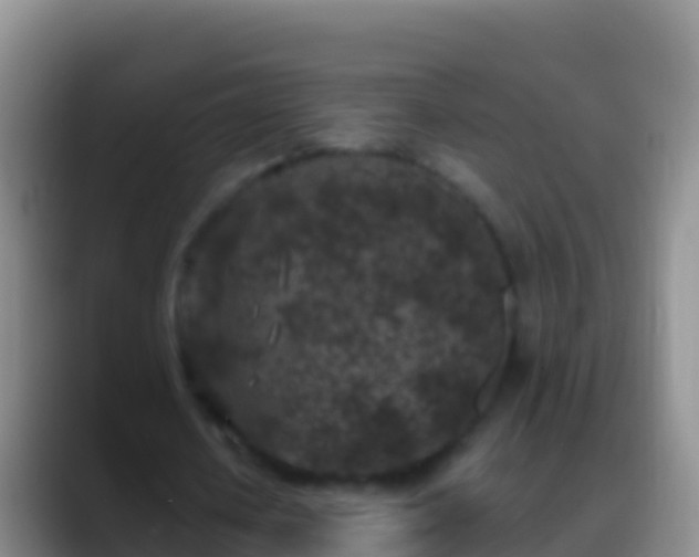 X0000088920626200706151925