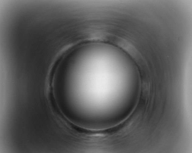 X0000088920628200706151925