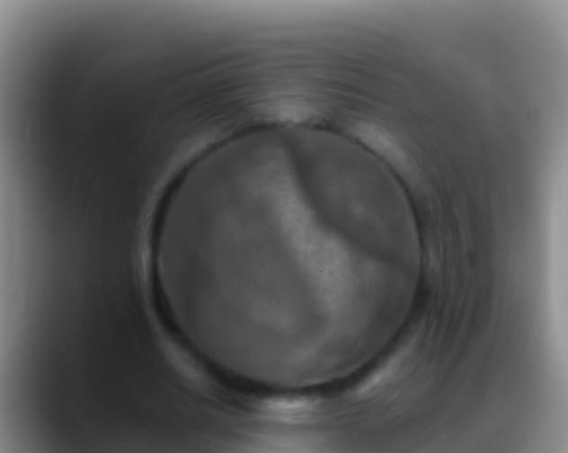 X0000088920630200706151925