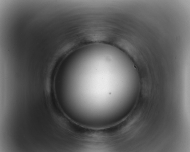 X0000088920631200706151925