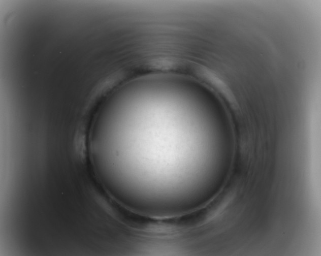 X0000088920633200706151925