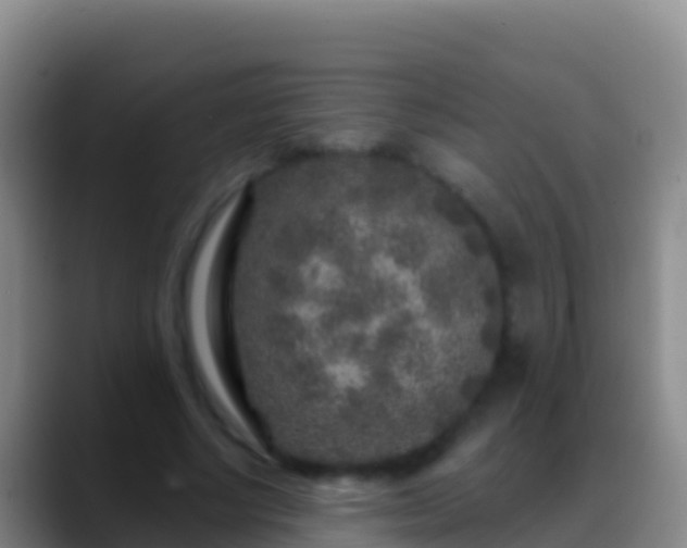 X0000088920634200706151925
