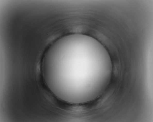 X0000088920636200706151925