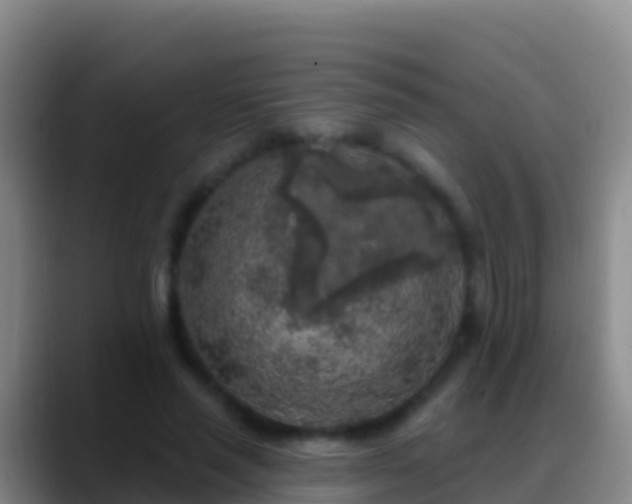 X0000088920637200706151925