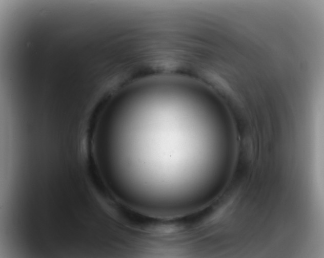 X0000088920638200706151925