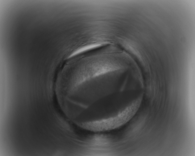 X0000088920641200706151925